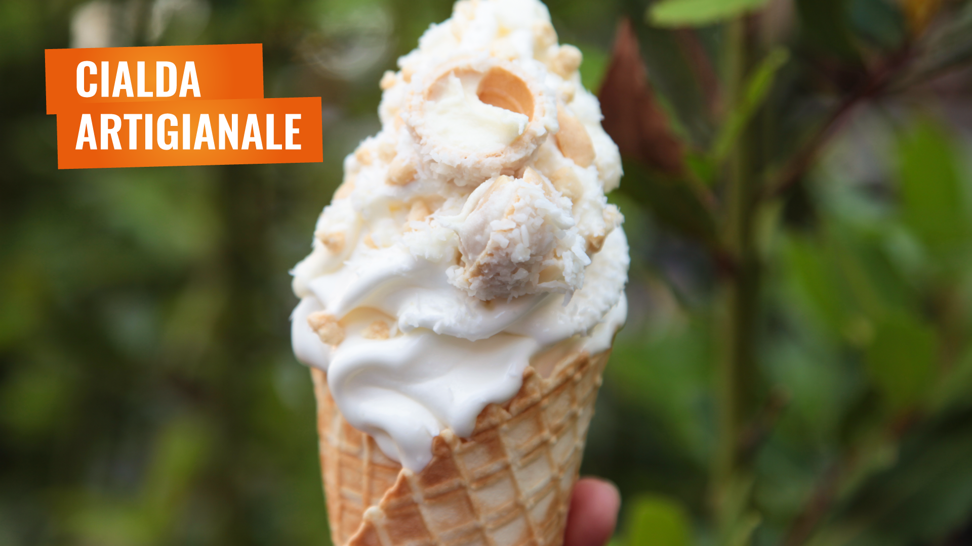 Cialda Artigianale con Frozen Yogurt e Snack de La Yogurteria