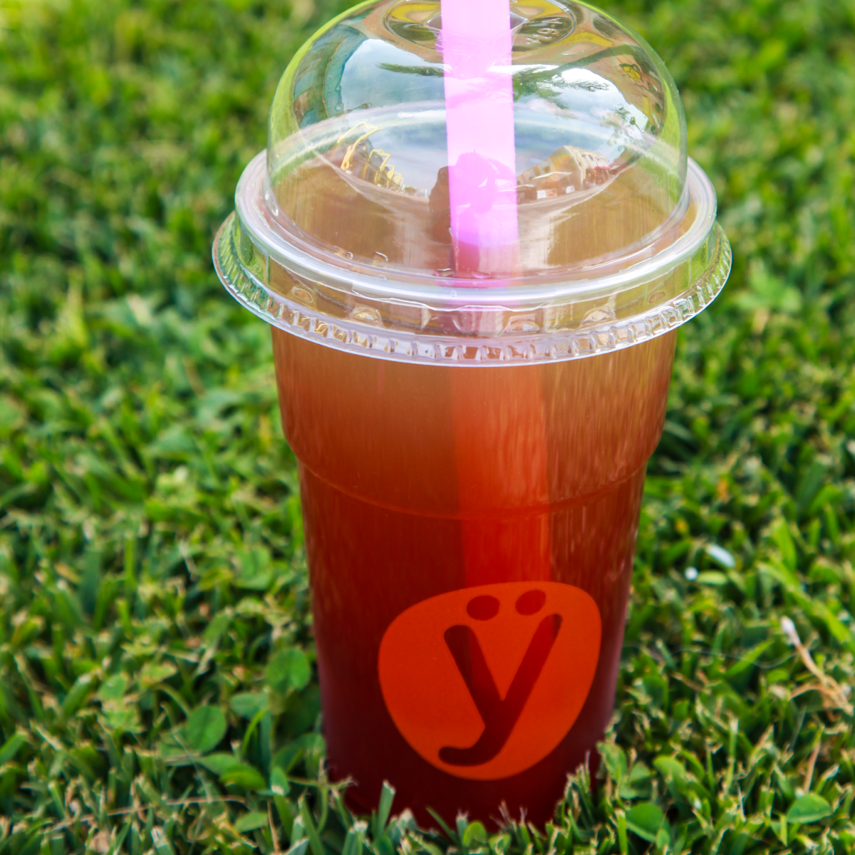 Bubble Tea con Tè, Sciroppi e Boba de la Yogurteria